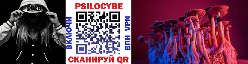 Галлюциногенные грибы мицелий  где купить наркотик  это официальный сайт  Великие Луки 
